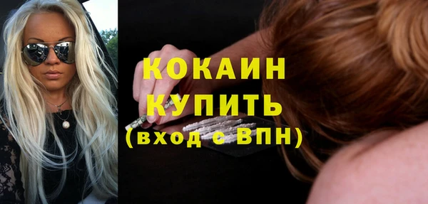 сатива Новодвинск