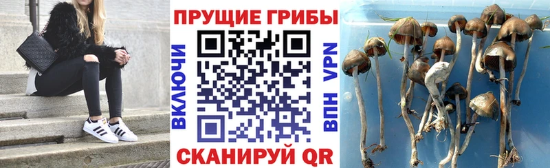 Псилоцибиновые грибы прущие грибы  Купить где  Ужур 